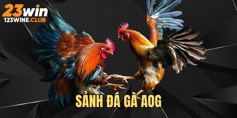 AOG cung cấp trận đấu đỉnh cao, gay cấn