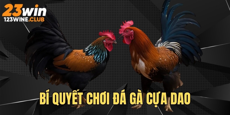 Bí quyết đặt cược hiệu quả, tăng tỷ lệ thắng lớn