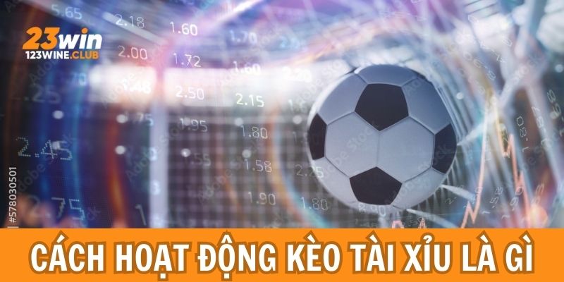 Giải thích cách hoạt động của cửa này