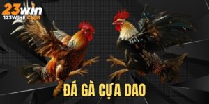 da ga cua dao