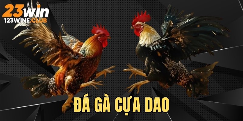 da ga cua dao
