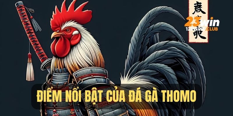 Điểm ăn tiền chỉ có tại Thomo 2025
