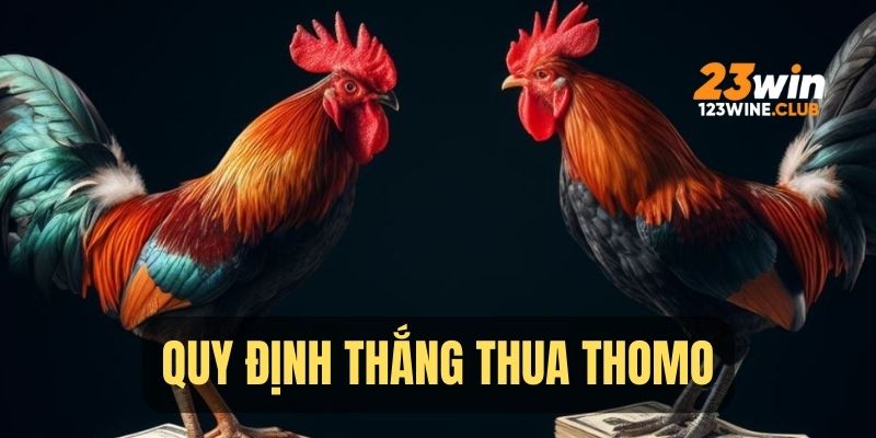 Cơ sở thắng thua trong đấu trường đá gà Thomo