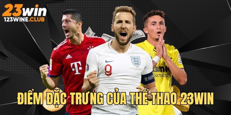 Điểm đặc trưng tạo nên sức hút sân chơi