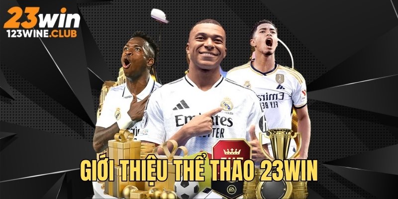 Giới thiệu sảnh Sports Online 23WIN com đẳng cấp