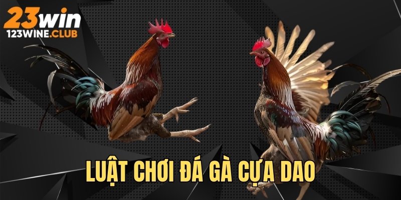 Luật chơi chọi kê chi tiết thành viên nên nắm rõ