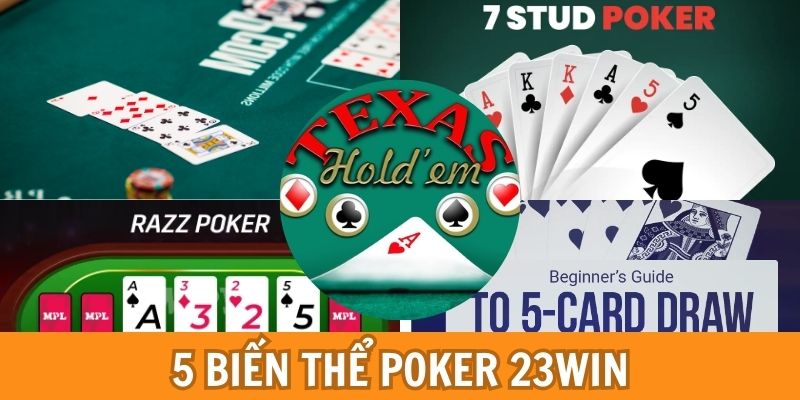 Các biến thể được yêu thích tại nền tảng