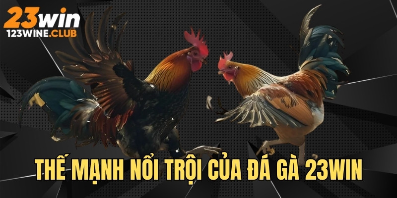 Thế mạnh nổi trội tạo nên thành công sảnh game đá gà 23win